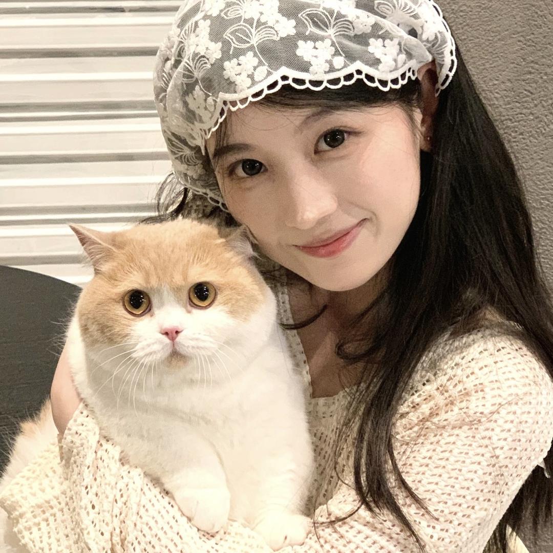 昭昭