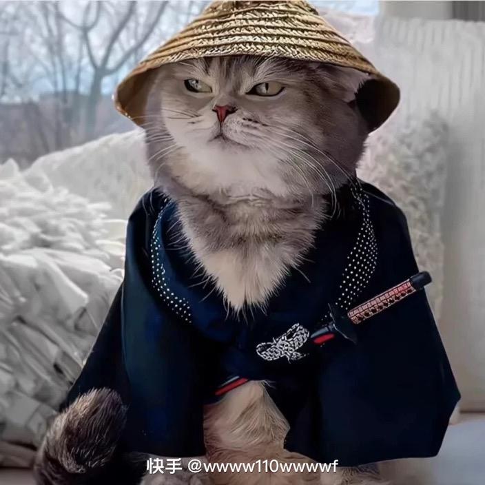 杨城