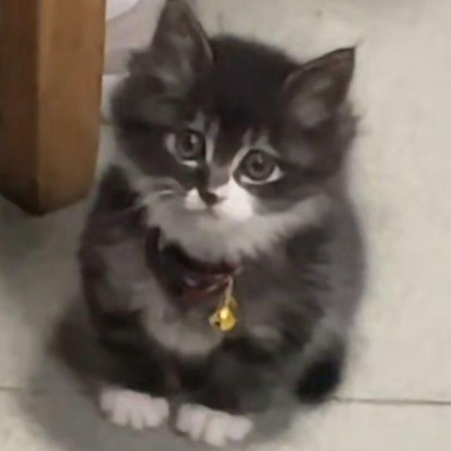 钰