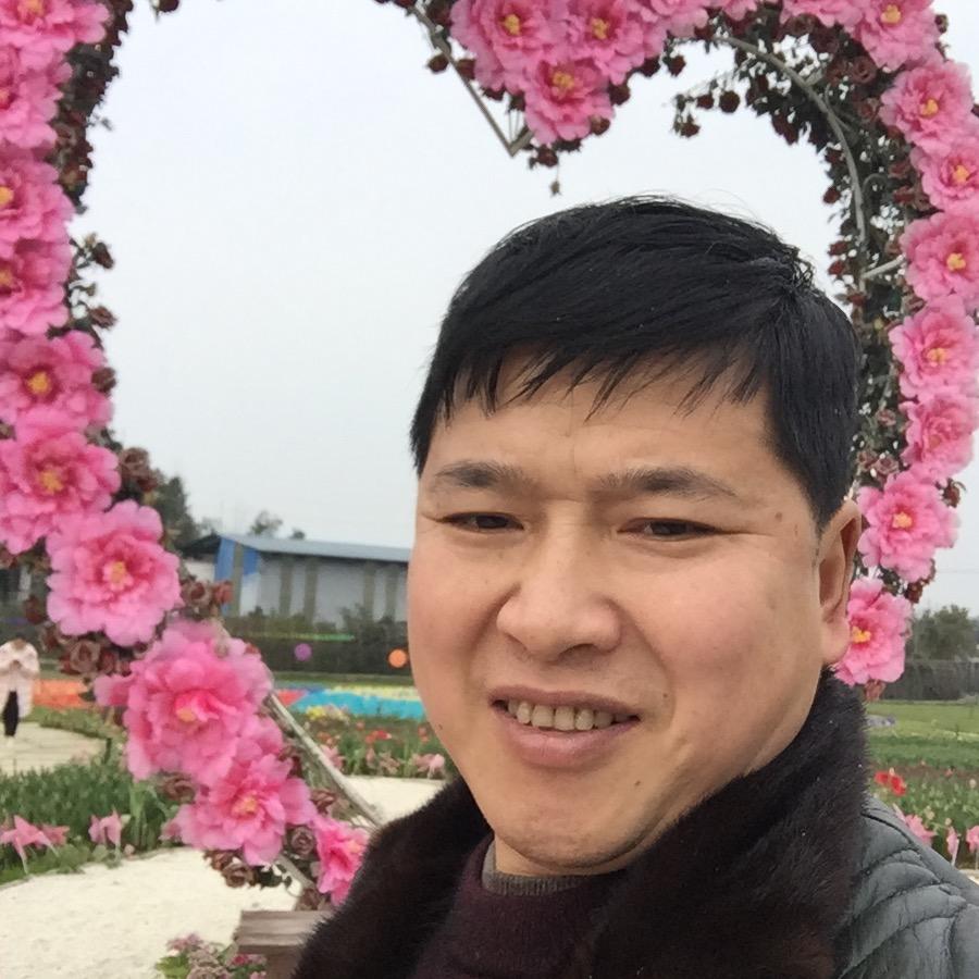 重庆小老表金弹子