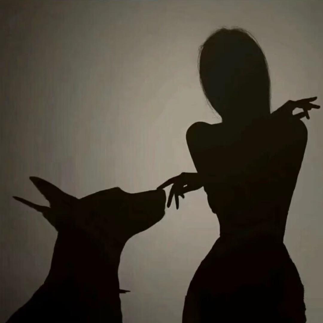 半岛茶.