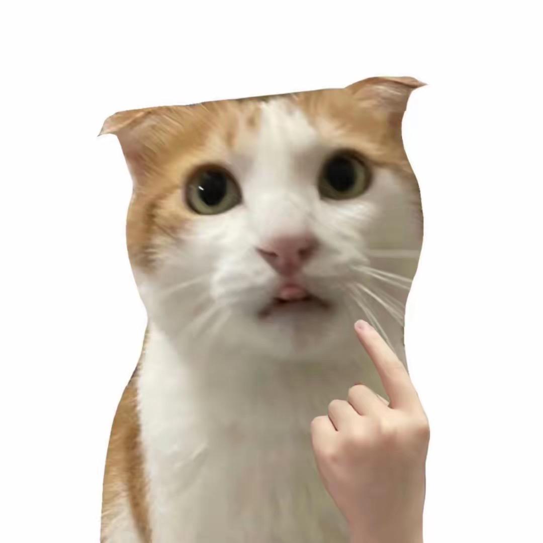 辉仔i