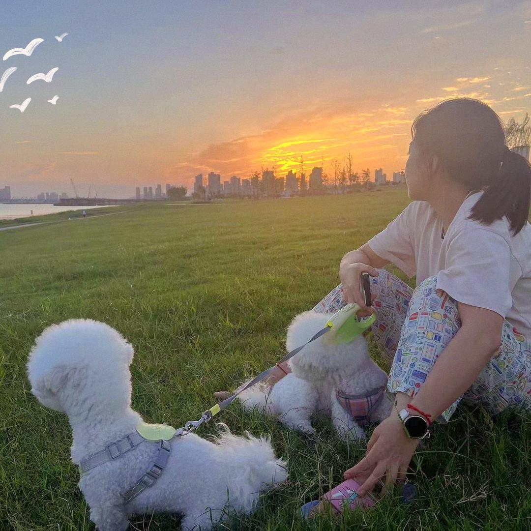 小二周🐰🐶