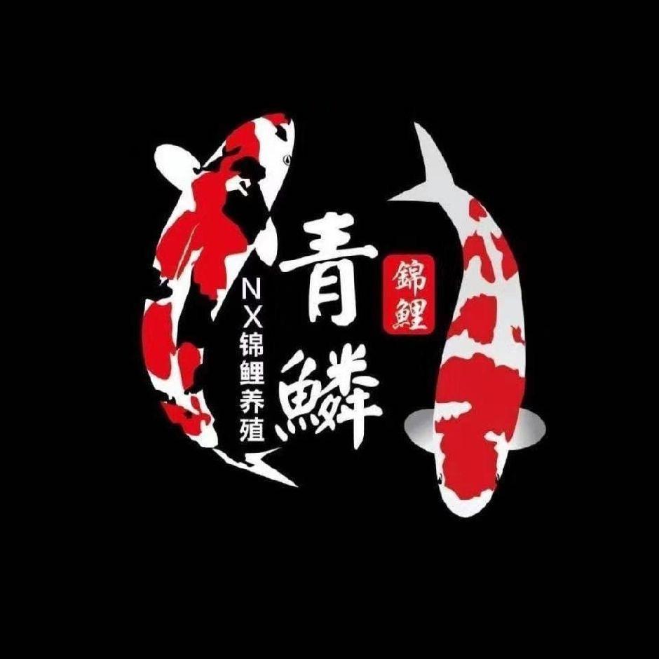 青鳞锦鲤