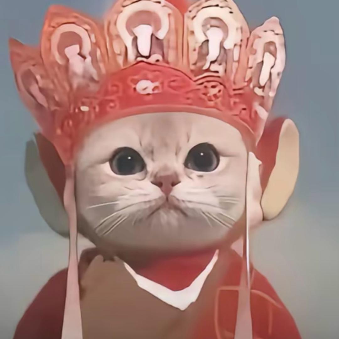 wwwwwww