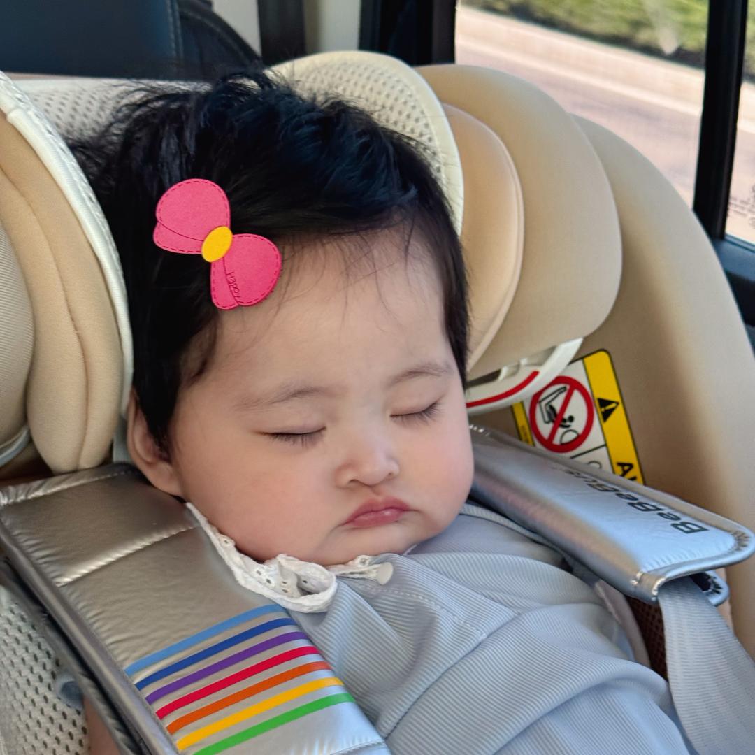 茉莉来啦🌸