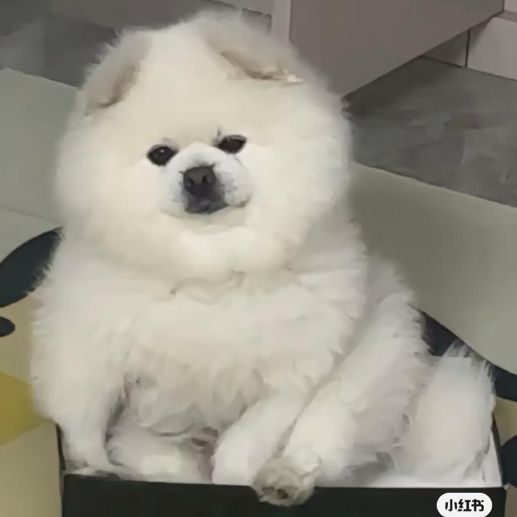 苏打饼干打孔师