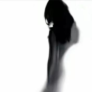 鲨鱼角