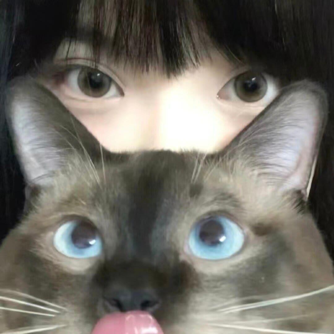 -小狗碎碎冰