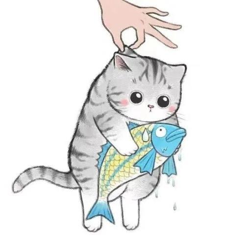 我不是小姐姐(113只猫)