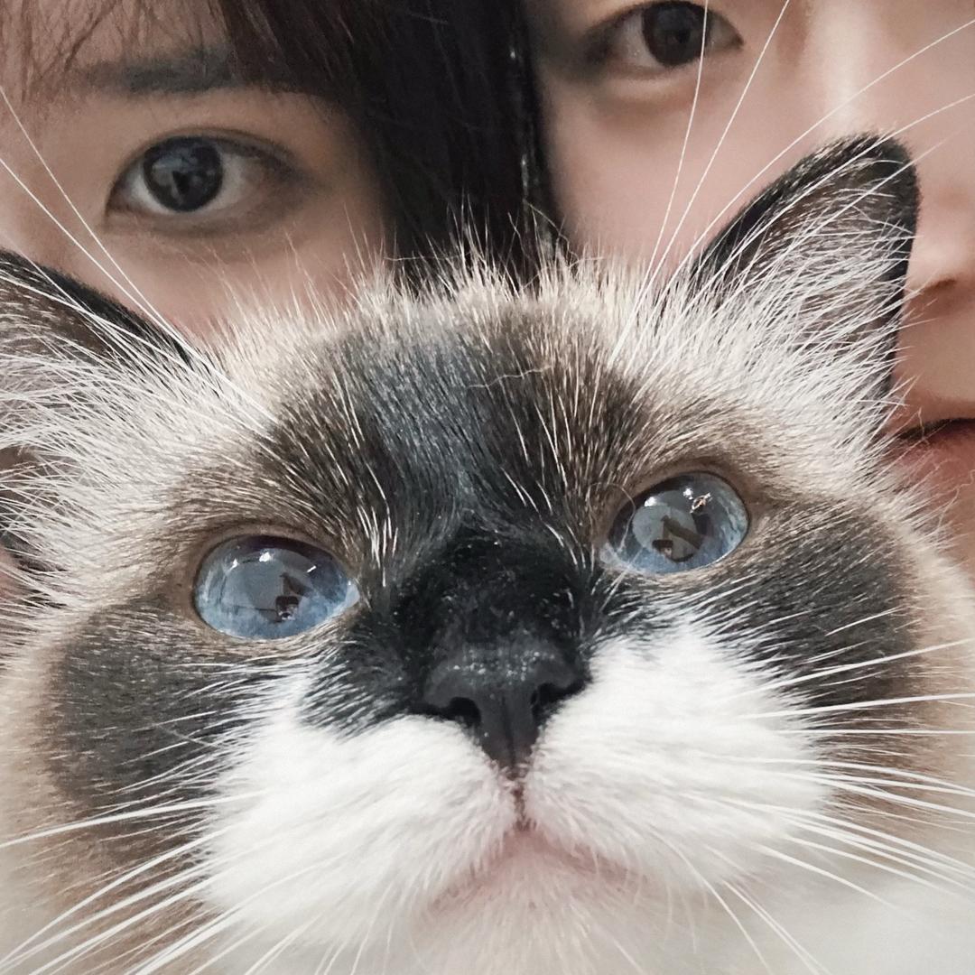 Tico雪碧