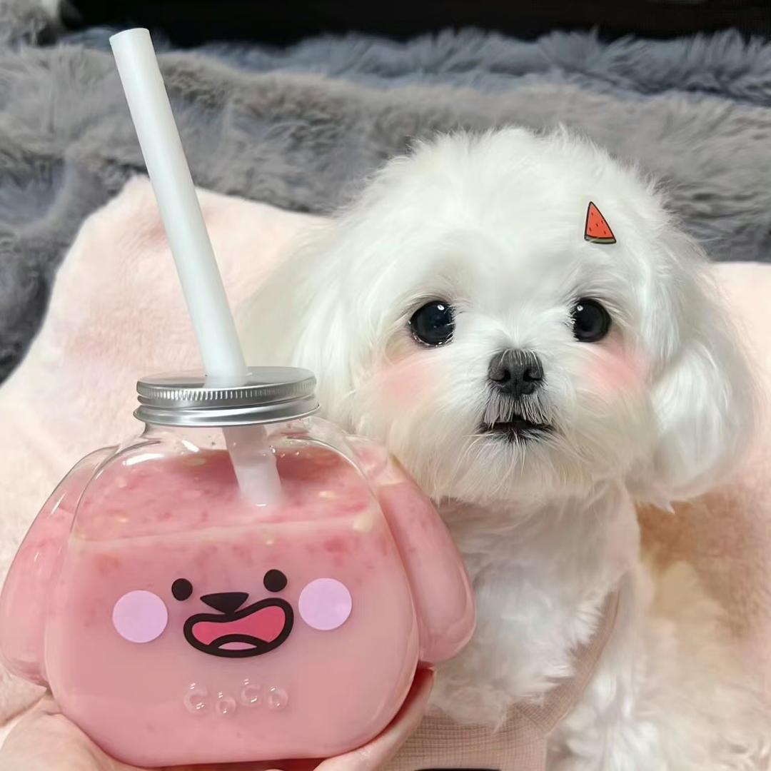 小念
