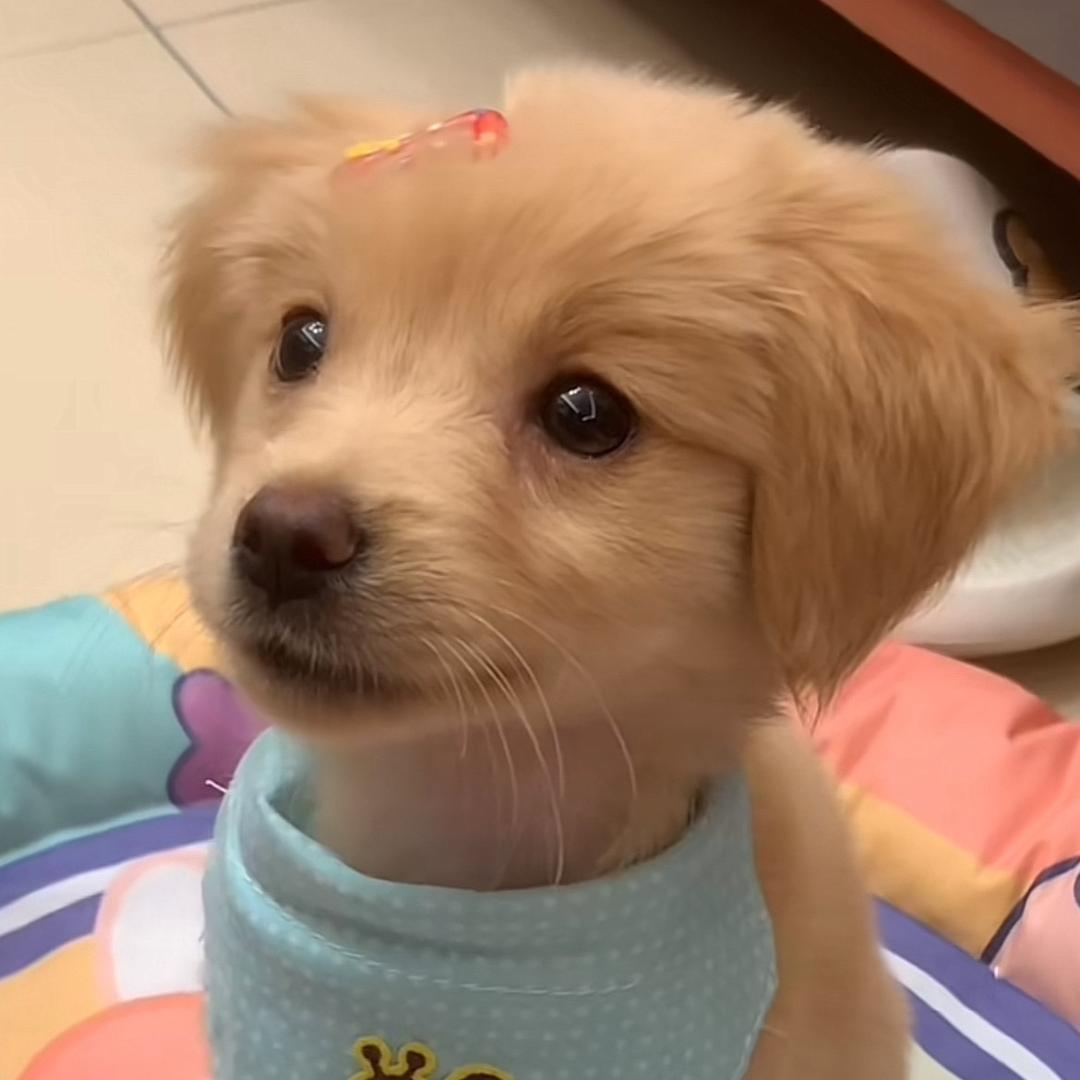 阿言言言言言