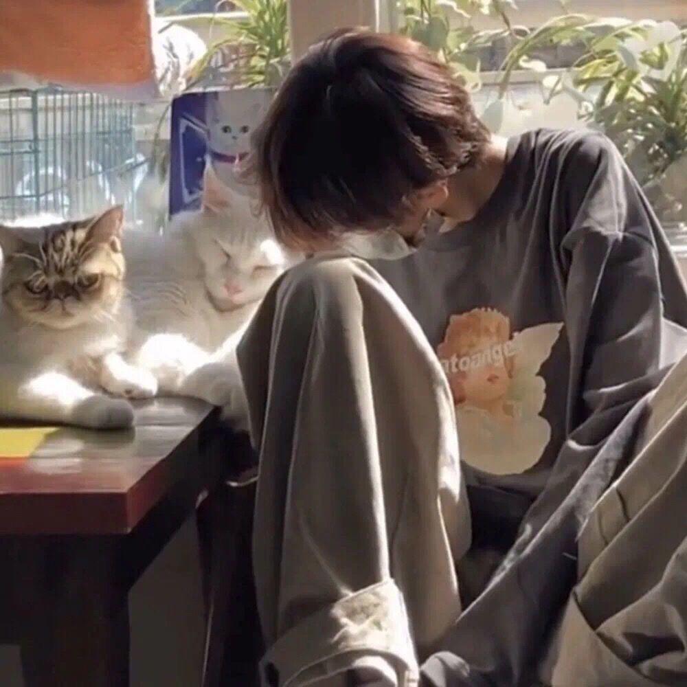 遥看春木如故