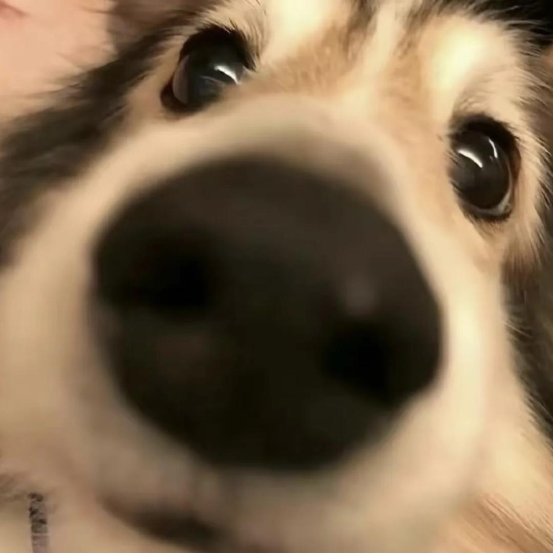 轲溫