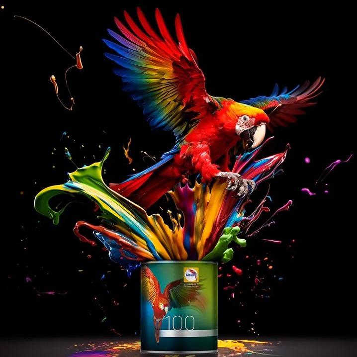 鹦鹉漆沈阳旗舰店-聚车来