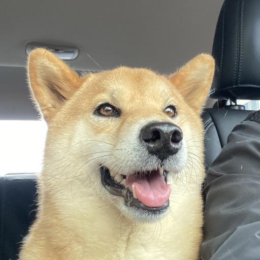 我腿短但是我没有骄傲啊