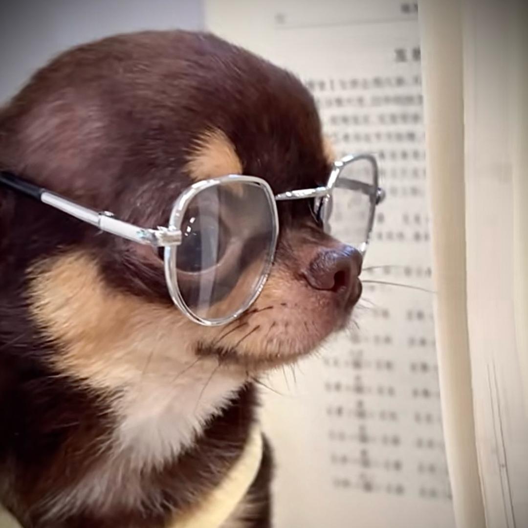 你都如何回蚁窝🪐