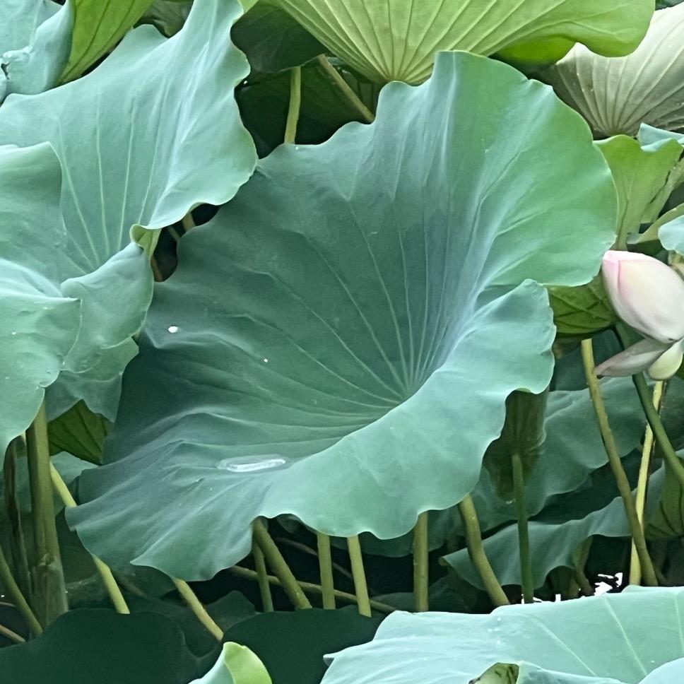 浪迹天涯随风飘⭐⁹¹³