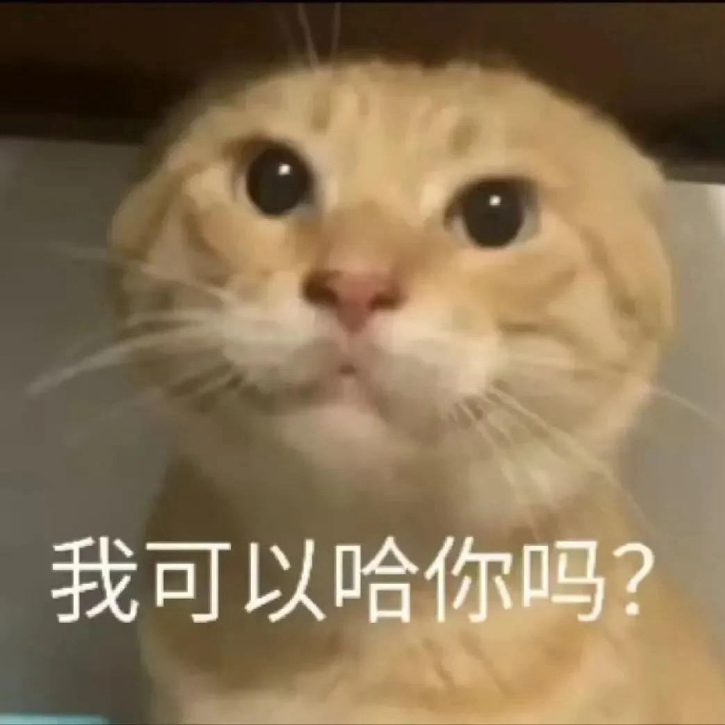 麦旋风