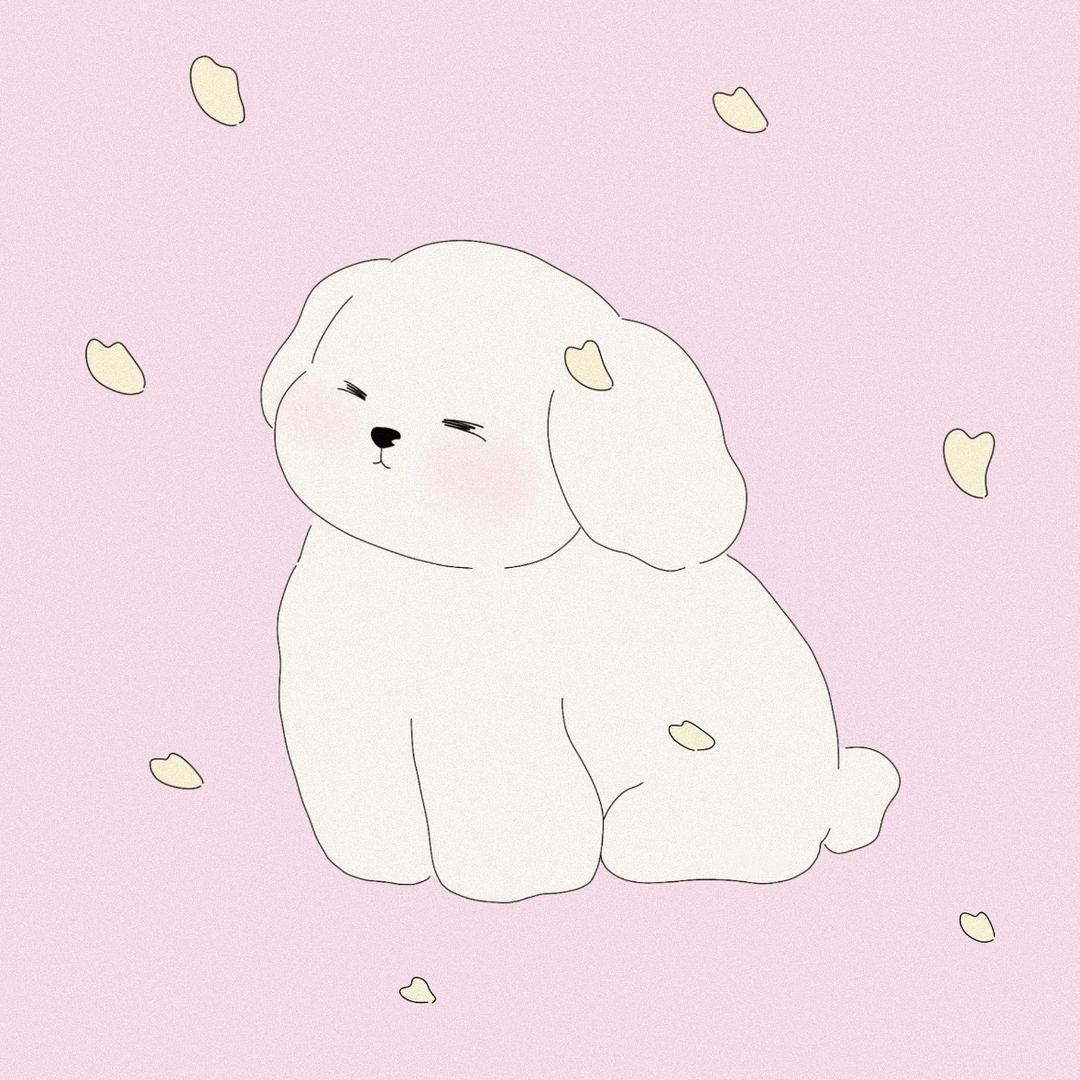 叫什么名字好呢