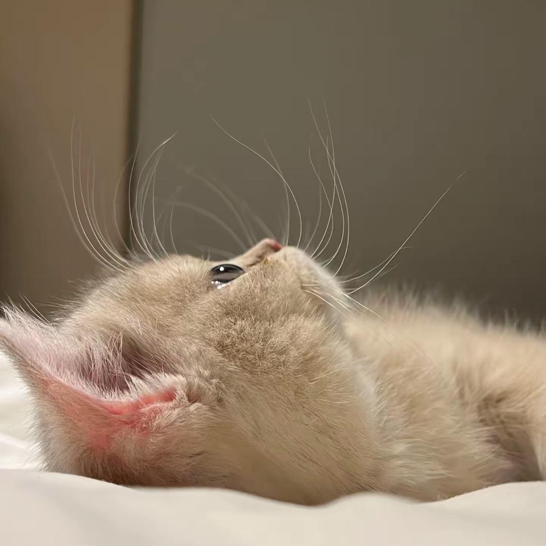 小九💫