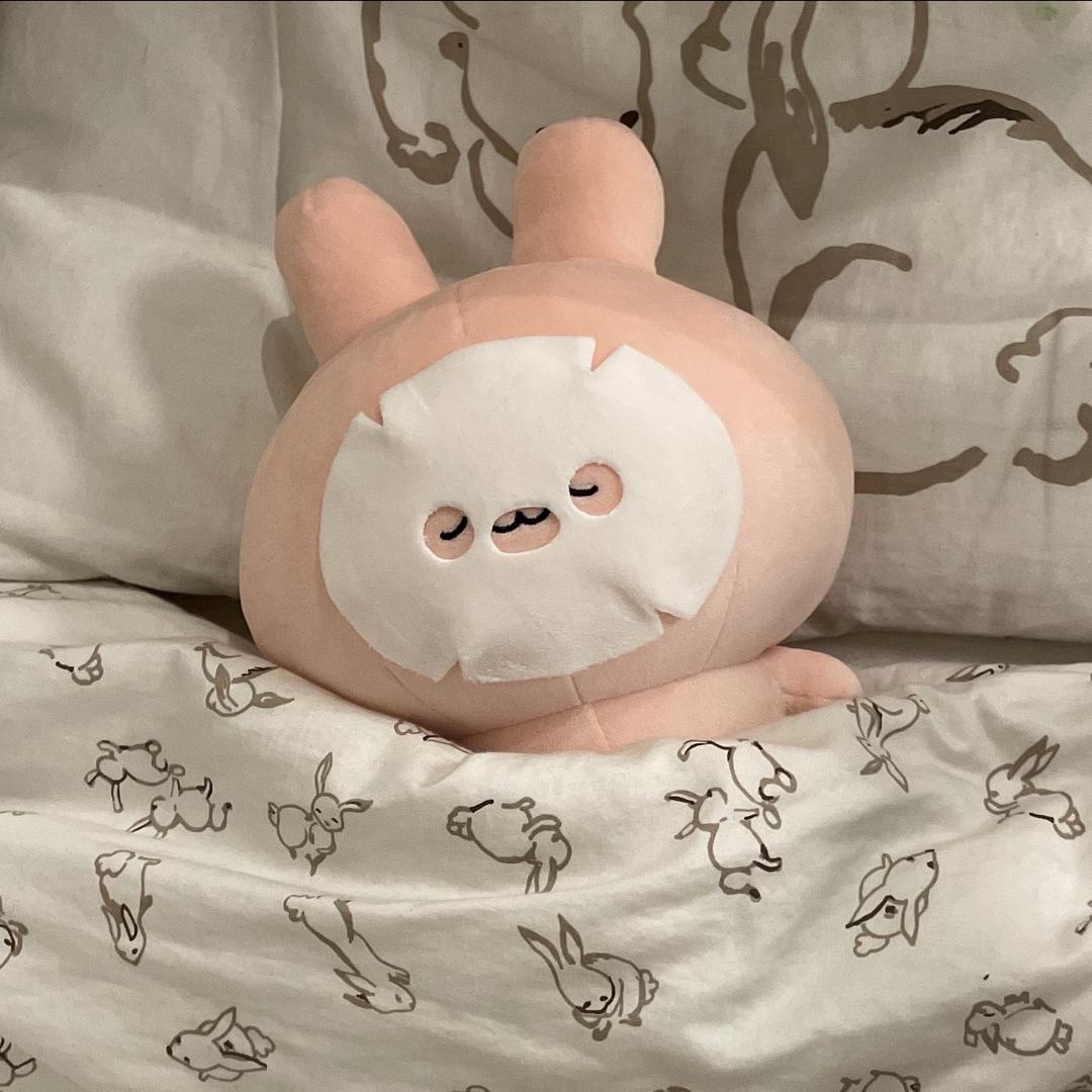 半夜起来睡个觉