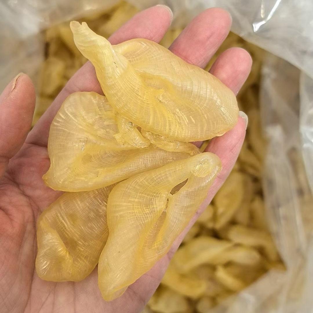 阿季珍珠胶 专收花白鲢鱼泡