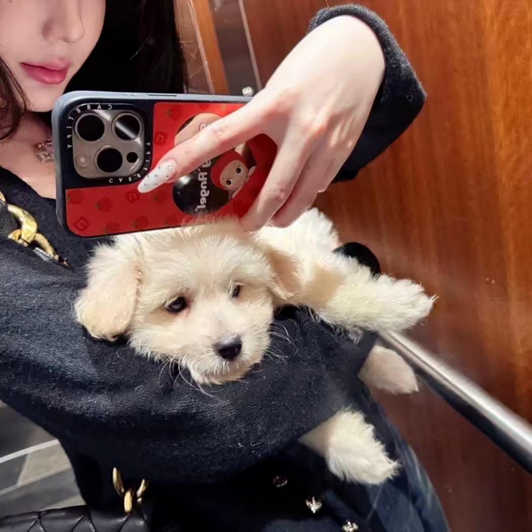 小瑶大王的仆人