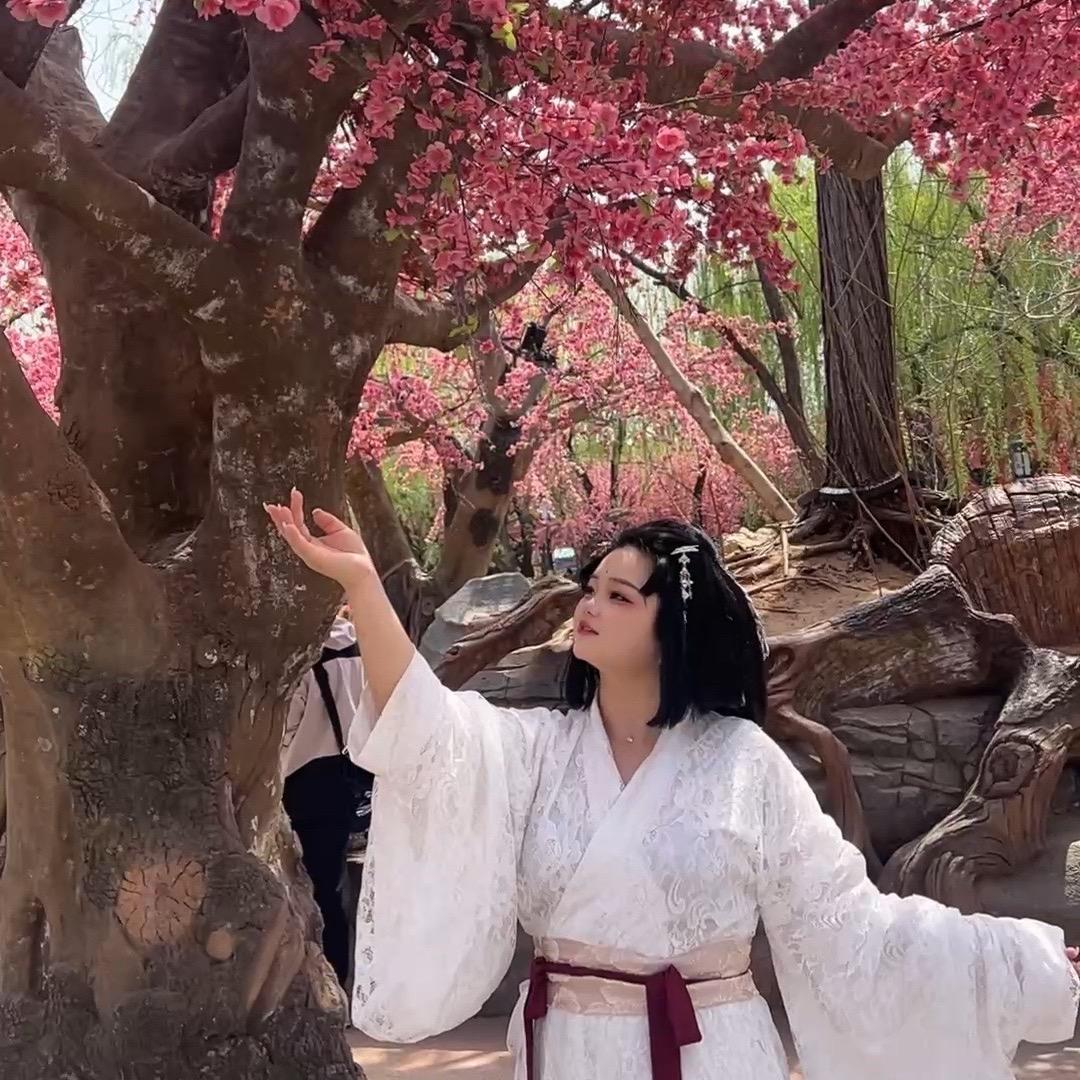 大唐少女摘星星(复原版)