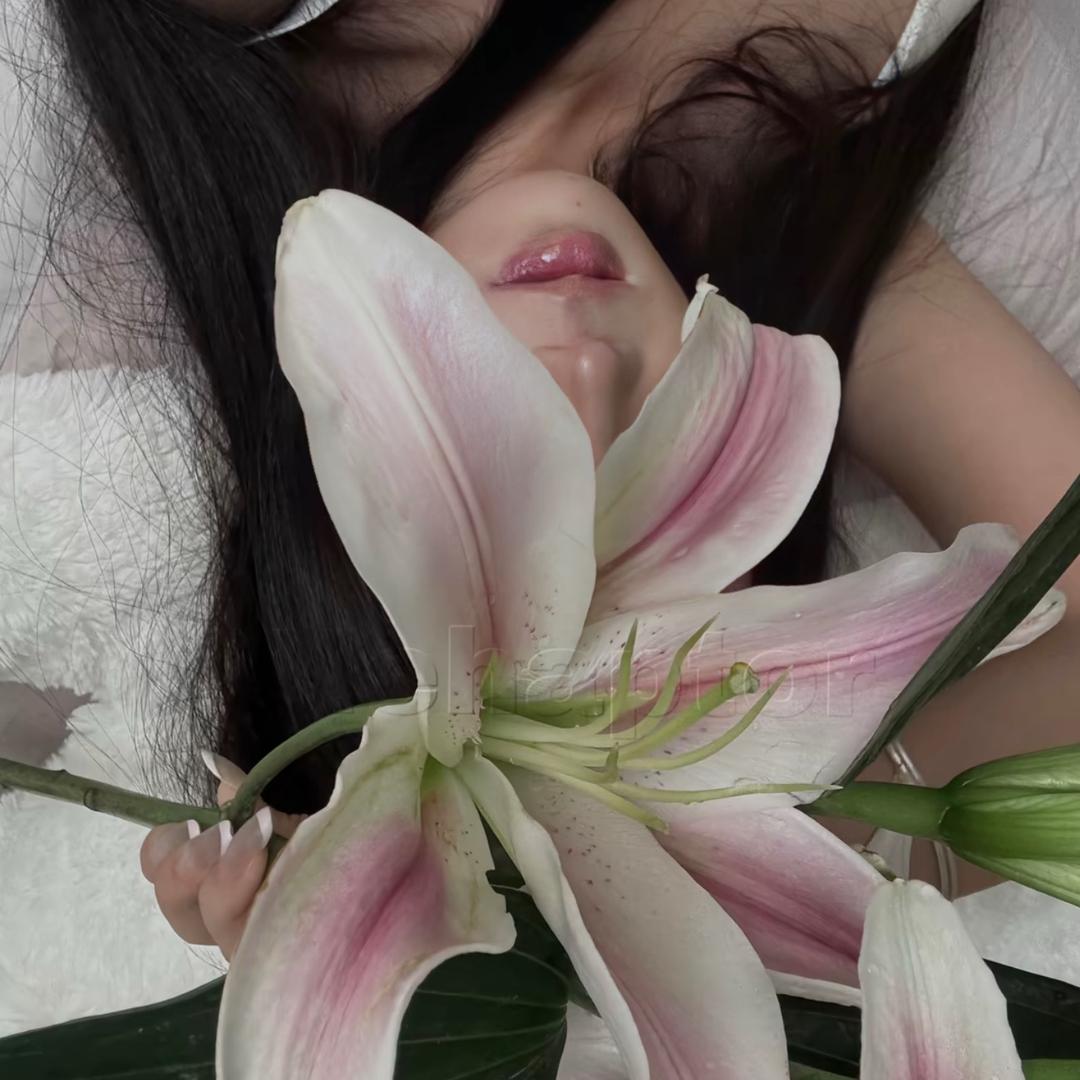 屿水·扶摇君君