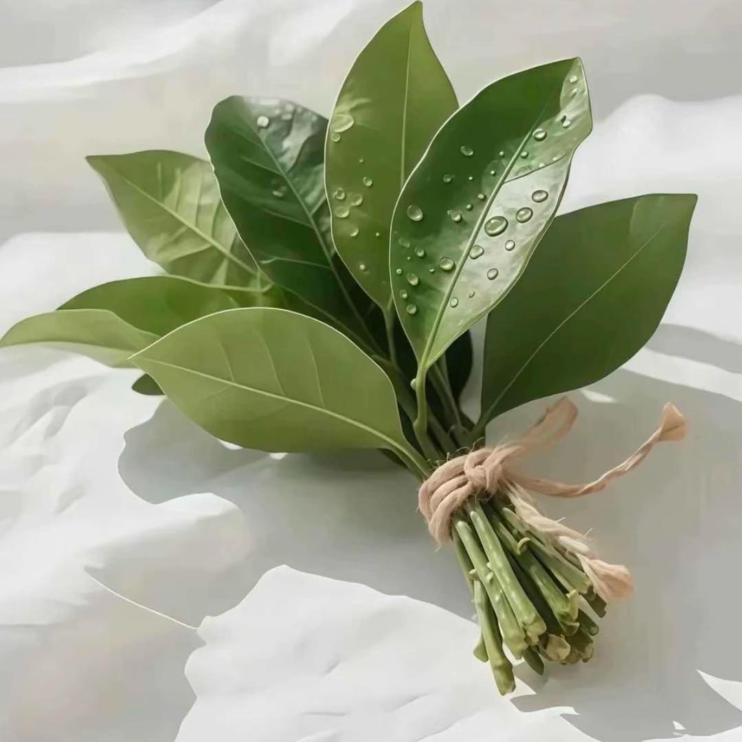 泡泡呀