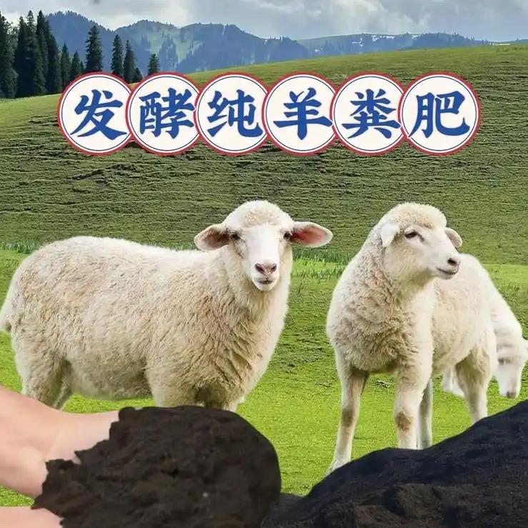 内蒙古羊粪肥源头厂家
