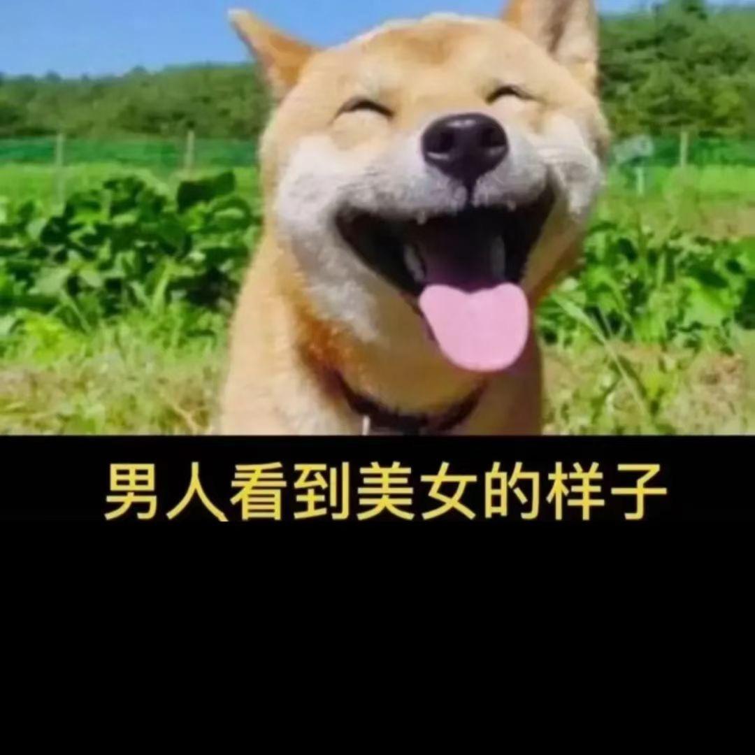 网络机器人🤖️