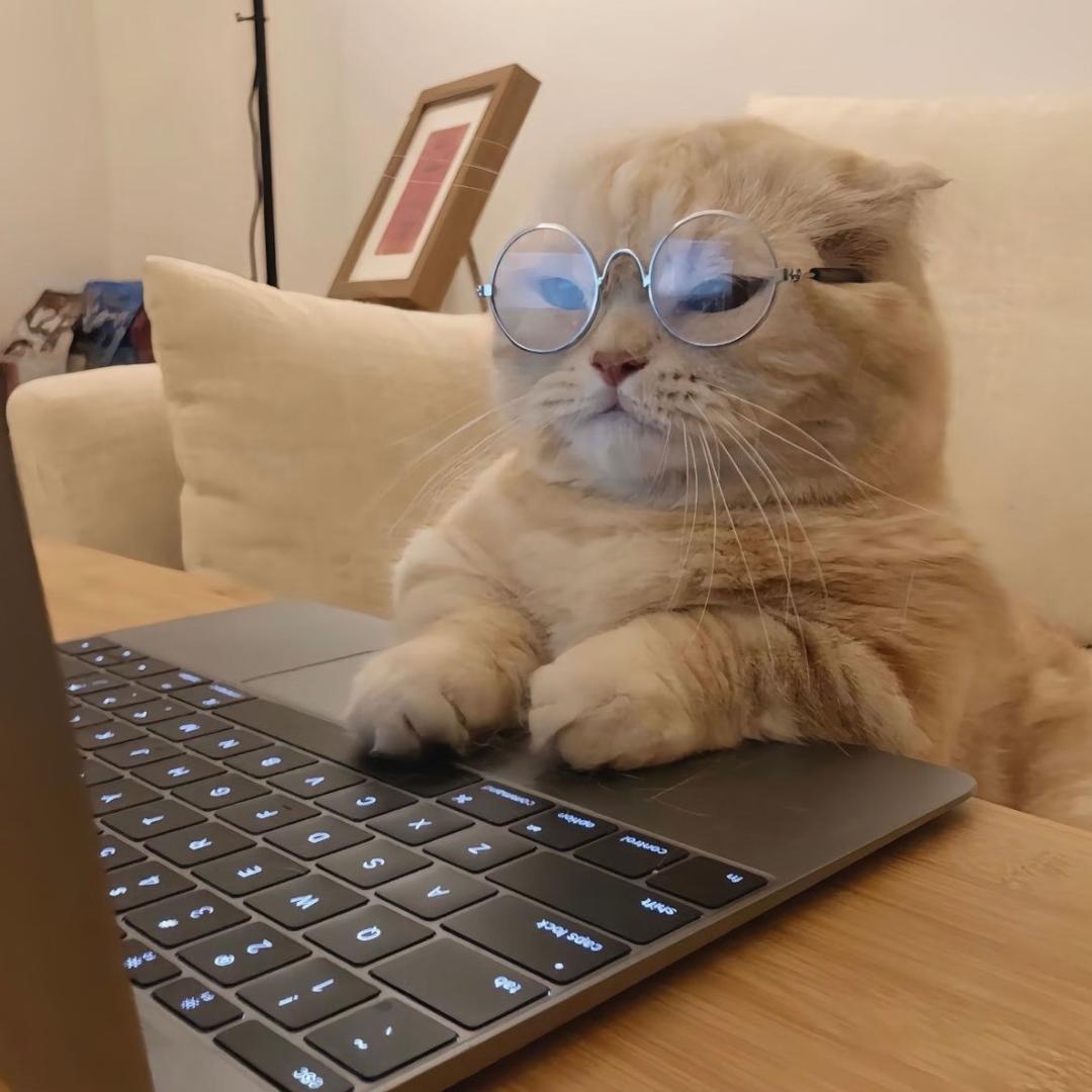 一只会飞翔的猪