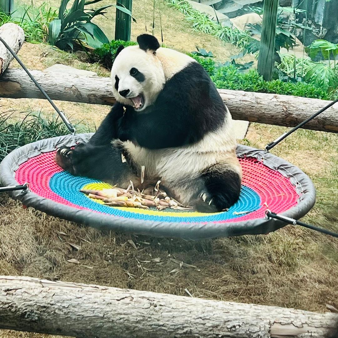 桃源客