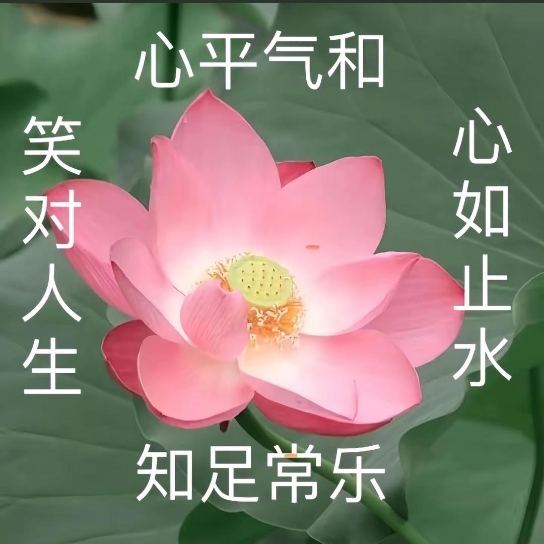 用户1367777