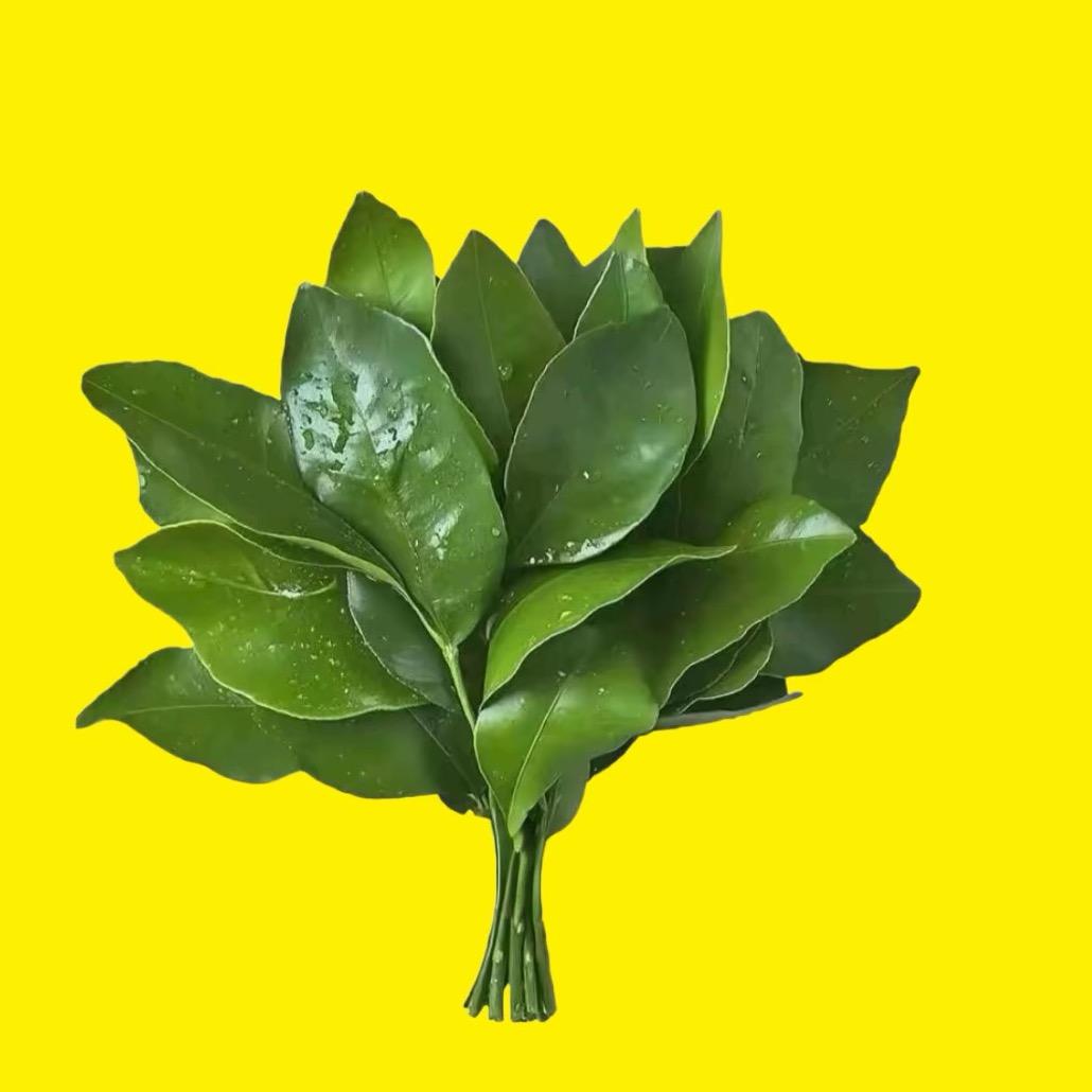 王静