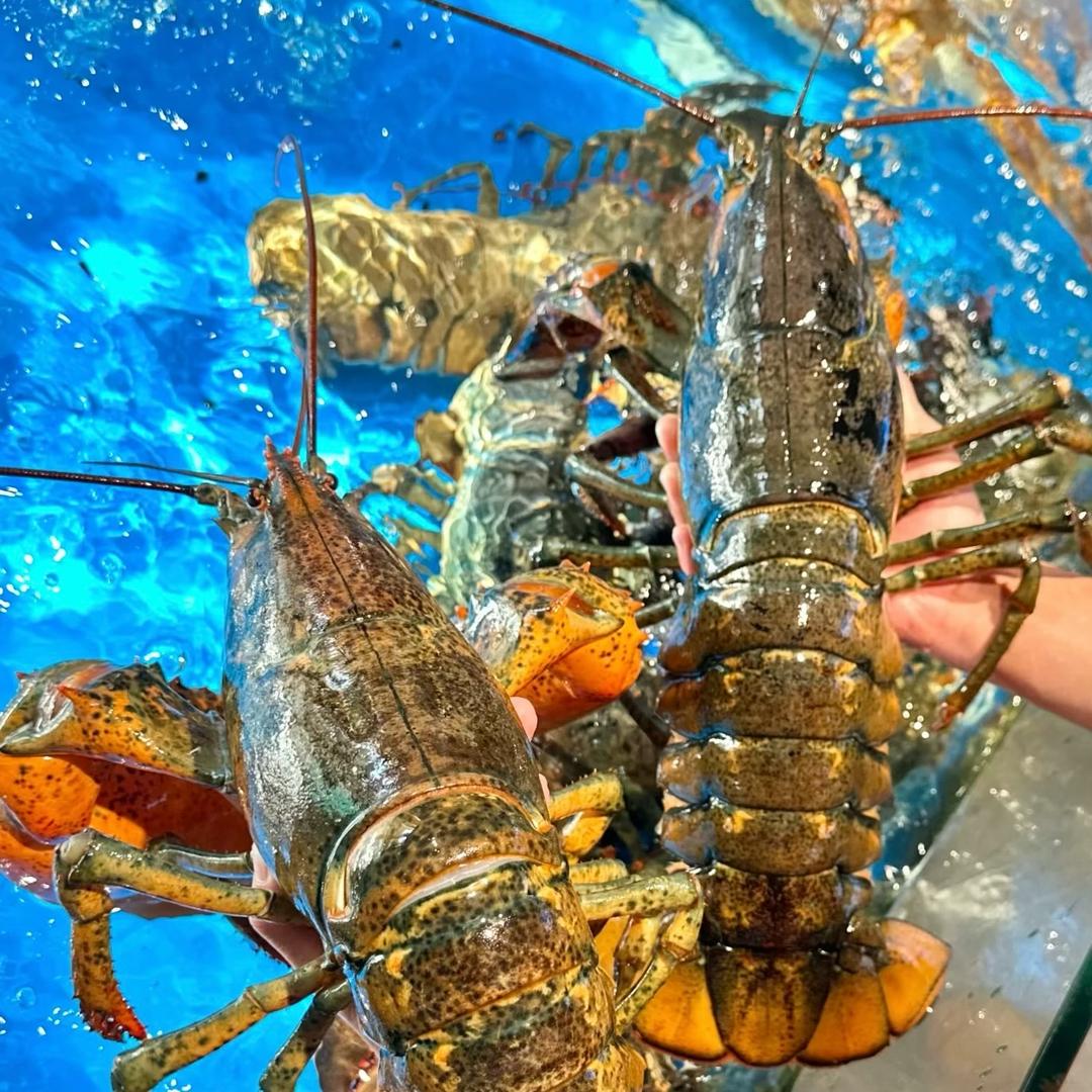 码头鲜海鲜