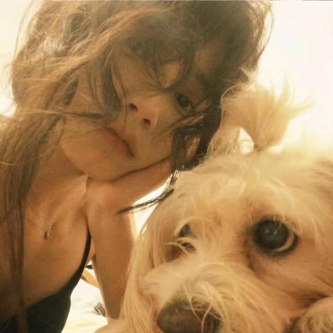 小小蘇（vlog版🧩）