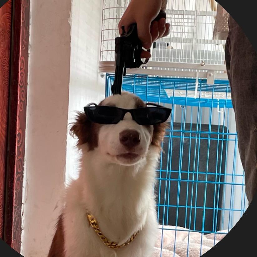 说唱哈士奇