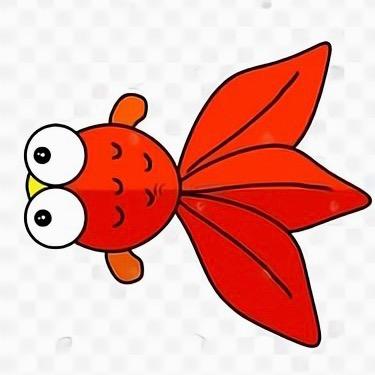 木子金鱼