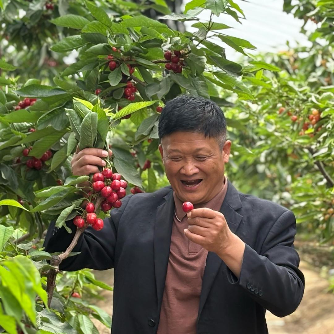 西村支书张万亩