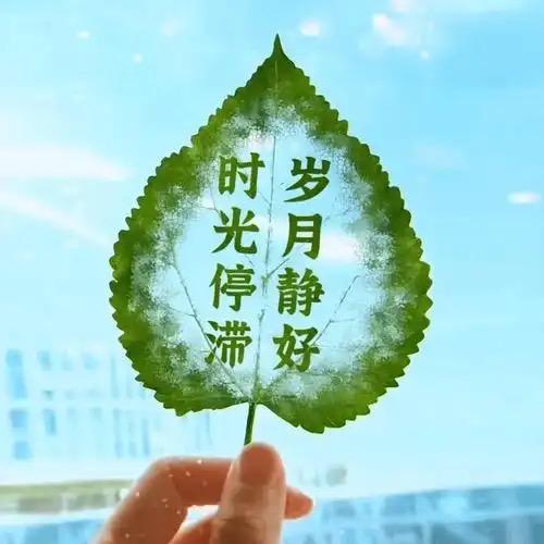 ❀岁月❣️静好❀