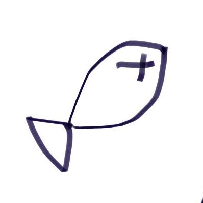 鱼饮澜汀