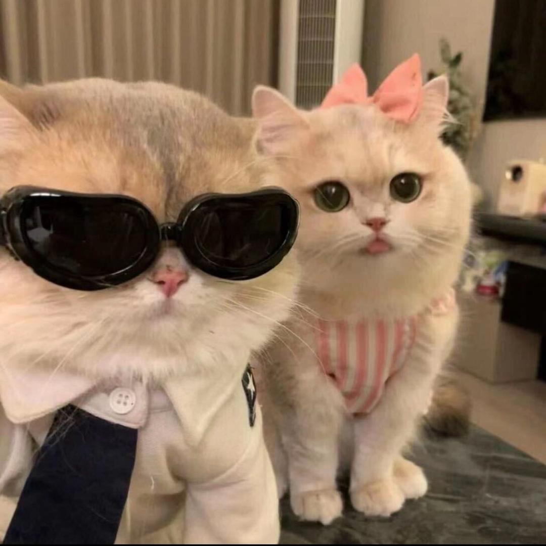 ￴ ￴￴ ￴￴ ￴