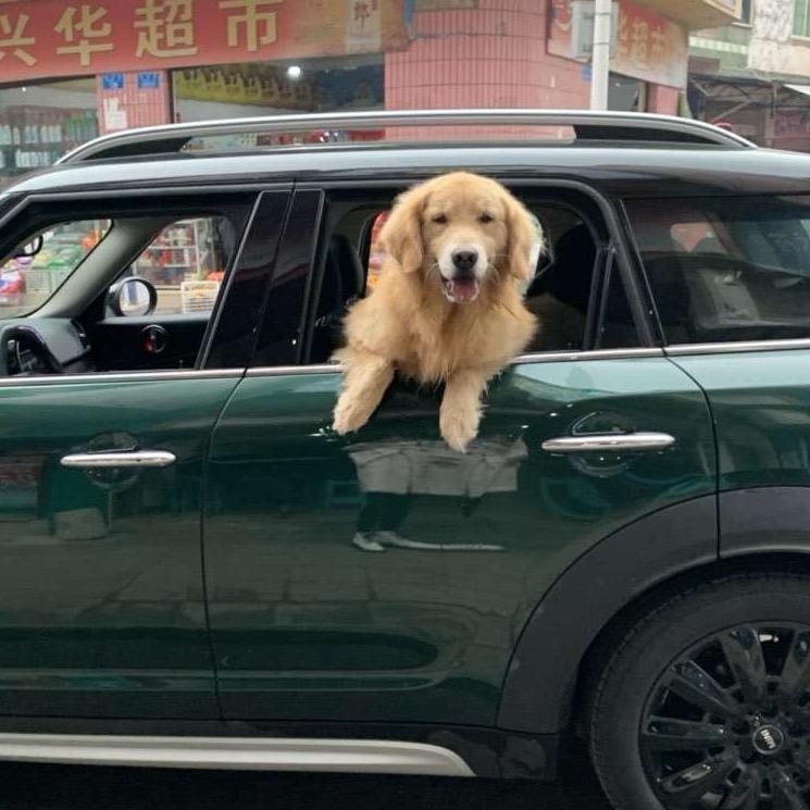 如梦如幻的小西施