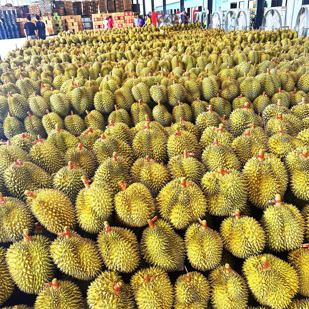 榴小恋鲜果