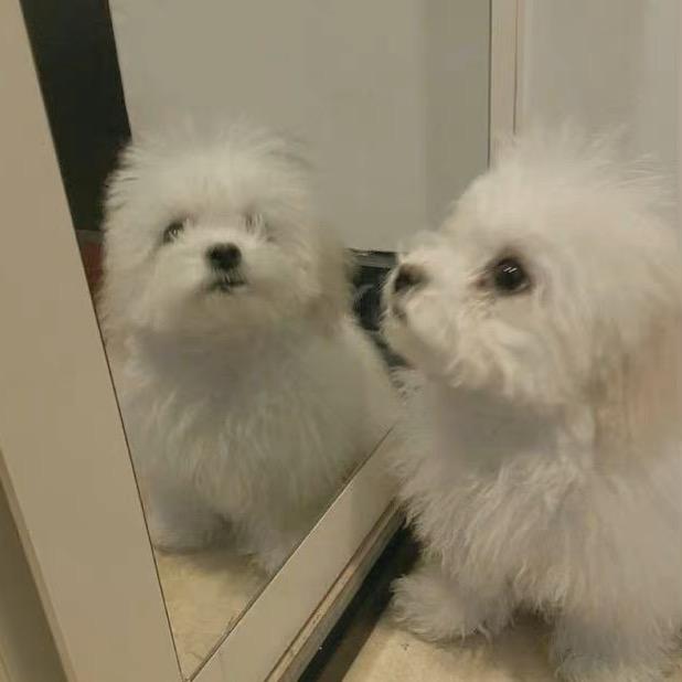 根本没有我那么辣_💘