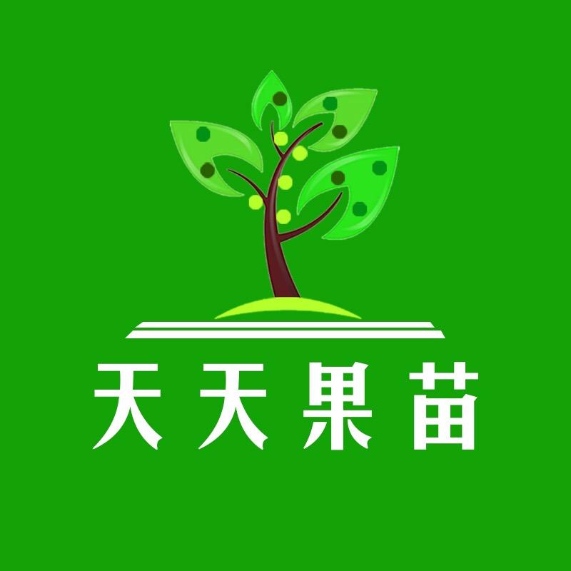 天天果苗